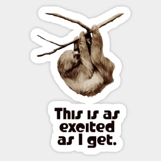 Excited Sloth Sticker